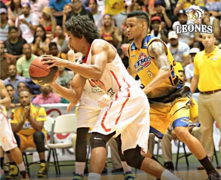 LEONES 2A
